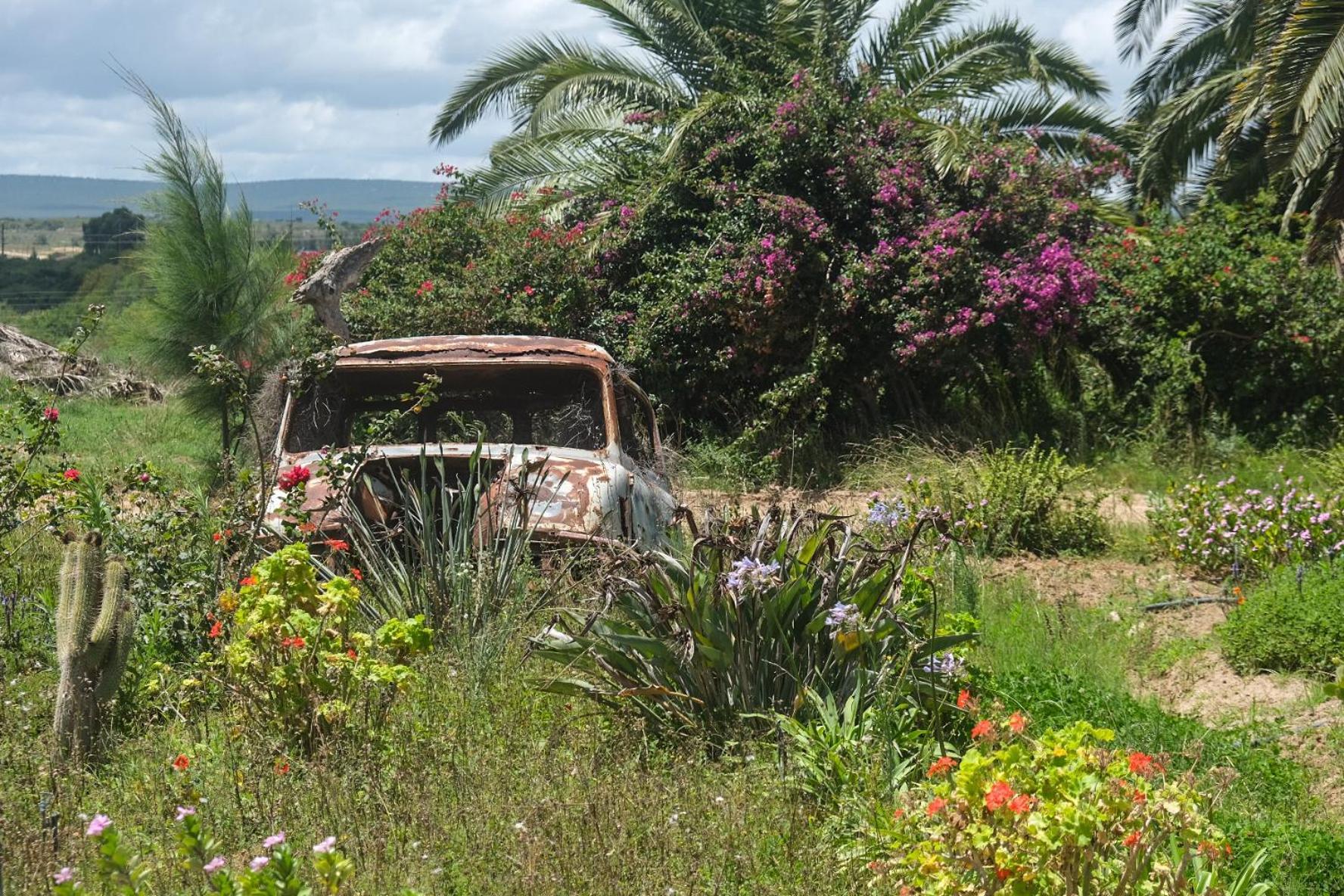 The Kraal Addo Hotell Exteriör bild